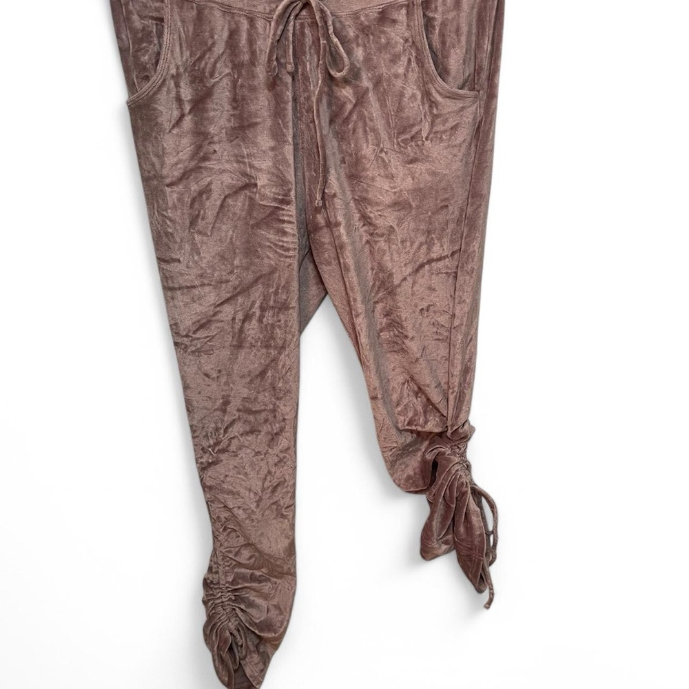 Express One Mauve Velvet Jogger Pants